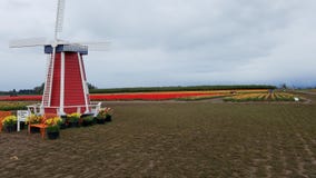 Houten Schoenwindmolen stock afbeelding Houten Schoenwindmolen stock afbeelding