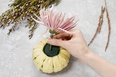 How to make bouquet of flowers in pumpkin. stock photo How to make bouquet of flowers in pumpkin. stock photo