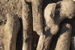 Huesos de la gente ejecutada por los turcos Exhumación de la gente ejecutada imágenes de archivo libres de regalías Huesos de la gente ejecutada por los turcos Exhumación de la gente ejecutada imágenes de archivo libres de regalías