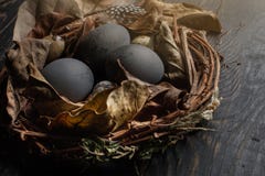 Huevos negros en una jerarquía de ramas secas en un tablero negro Estilo de Pascua imagen de archivo Huevos negros en una jerarquía de ramas secas en un tablero negro Estilo de Pascua imagen de archivo