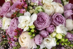 Huge bouquet of roses Royalty Free Stock Photos Huge bouquet of roses Royalty Free Stock Photos