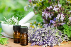 Huiles essentielles avec les fleurs de fines herbes image libre de droits Huiles essentielles avec les fleurs de fines herbes image libre de droits