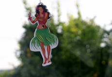 hula κοριτσιών που μυρίζει γλυκό στοκ εικόνες hula κοριτσιών που μυρίζει γλυκό στοκ εικόνες