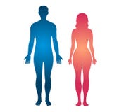 Human body silhouette man and women body vector illustration.