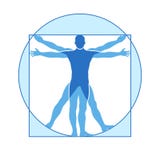 Human body vector icon of vitruvian man