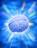 Human Brain Intelligence Creativity