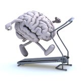 Human brain on a running machine