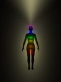 Human energy body, aura, chakra, energy