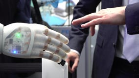 Human hand and robot`s as a symbol of connection between people and artificial intelligence technology
