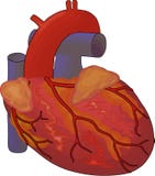 Diagram of human kidneys stock illustration. Illustration ...