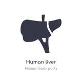 human liver outline icon. isolated line vector illustration from human body parts collection. editable thin stroke human liver royalty free illustration human liver outline icon. isolated line vector illustration from human body parts collection. editable thin stroke human liver royalty free illustration