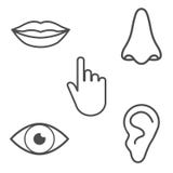 Icon Set Of The Five Human Senses. Simple, Minimal Line Icons ...