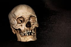 Human skeleton skull head on black stock photography Human skeleton skull head on black stock photography