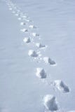 Human Traces Royalty Free Stock Images Human Traces Royalty Free Stock Images
