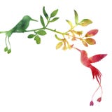 Hummingbirds And Flowers Silhouettes Royalty Free Stock Photography