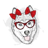 Hund med pilbågar också vektor för coreldrawillustration Gulligt skrovligt stock illustrationer Hund med pilbågar också vektor för coreldrawillustration Gulligt skrovligt stock illustrationer