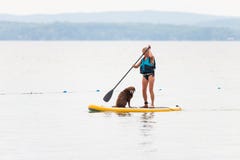 Hund och kvinna på ett ställnings-uppskovelbräde royaltyfri fotografi Hund och kvinna på ett ställnings-uppskovelbräde royaltyfri fotografi