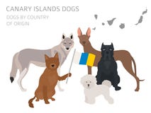 Hundkapplöpning av ursprungsland spain Avel för hund för kanariefågelöar inf royaltyfri illustrationer Hundkapplöpning av ursprungsland spain Avel för hund för kanariefågelöar inf royaltyfri illustrationer