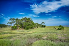 Hunting island beach scenes royalty free stock image Hunting island beach scenes royalty free stock image