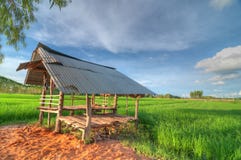 Hut On The Rice Field (HDR) Royalty Free Stock Photo