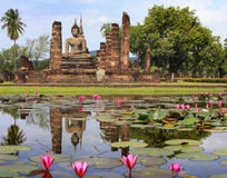 Huvudbuddha staty i Sukhothai den historiska parken arkivbilder Huvudbuddha staty i Sukhothai den historiska parken arkivbilder