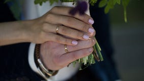 Huwelijk, handen van de jonggehuwden met ringen op hun vingers stock afbeeldingen Huwelijk, handen van de jonggehuwden met ringen op hun vingers stock afbeeldingen