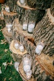 Huwelijksdecoratie in rustieke stijl Uitjeceremonie huwelijk in aard Kaarsen in verfraaide drinkbekers stock foto's Huwelijksdecoratie in rustieke stijl Uitjeceremonie huwelijk in aard Kaarsen in verfraaide drinkbekers stock foto's