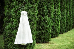 Huwelijkskleding hangen eenzaam op de boom stock foto Huwelijkskleding hangen eenzaam op de boom stock foto