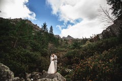 Huwelijkspaar die dichtbij het meer in Tatra-bergen in Polen lopen Morskie Oko De mooie Dag van de Zomer royalty-vrije stock foto Huwelijkspaar die dichtbij het meer in Tatra-bergen in Polen lopen Morskie Oko De mooie Dag van de Zomer royalty-vrije stock foto