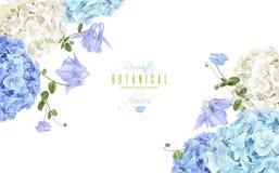 Hydrangea corner banner blue royalty free illustration Hydrangea corner banner blue royalty free illustration