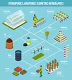 Hydroponics Infographic Set stock illustration Hydroponics Infographic Set stock illustration