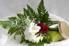 Hygiene Products And Body Care 008 Royalty Free Stock Images Hygiene Products And Body Care 008 Royalty Free Stock Images