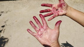 Hände und Finger malten rot stockfotografie Hände und Finger malten rot stockfotografie
