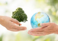 Händer som rymmer den gröna ek- och jordplaneten royaltyfri bild Händer som rymmer den gröna ek- och jordplaneten royaltyfri bild
