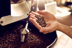 Händer över en modern anordning som rymmer nytt grillad kaffebea arkivbild Händer över en modern anordning som rymmer nytt grillad kaffebea arkivbild