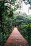 Hängende Brücke in Monteverde Costa Rica stockfotografie Hängende Brücke in Monteverde Costa Rica stockfotografie