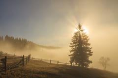 Härlig dimmig gryning i bergen övre sikt för carpathian berg arkivfoto Härlig dimmig gryning i bergen övre sikt för carpathian berg arkivfoto