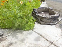 Härlig orange blomma för trevlig bakgrund med den själv byggda lilla fördämningen arkivbilder Härlig orange blomma för trevlig bakgrund med den själv byggda lilla fördämningen arkivbilder