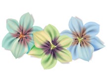 härliga bukettblommor Vektorsommarblommor som isoleras på vit bakgrund Blomning för blommadesign Liljor in royaltyfri illustrationer härliga bukettblommor Vektorsommarblommor som isoleras på vit bakgrund Blomning för blommadesign Liljor in royaltyfri illustrationer