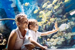 Hållande ögonen på havsliv för moder och för son i oceanarium royaltyfria foton Hållande ögonen på havsliv för moder och för son i oceanarium royaltyfria foton