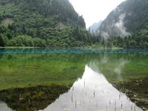 Héritage naturel de Jiuzhaigou-monde photo libre de droits Héritage naturel de Jiuzhaigou-monde photo libre de droits