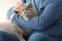 Hög man som rymmer den gulliga katten royaltyfria foton Hög man som rymmer den gulliga katten royaltyfria foton