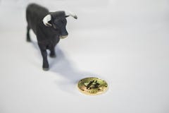 Högkonjunktur i crypto valuta Tjurs skugga som tappar på bitcoinmynt royaltyfri fotografi Högkonjunktur i crypto valuta Tjurs skugga som tappar på bitcoinmynt royaltyfri fotografi