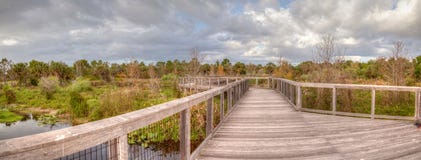Hölzerne abgelegene, ruhige Promenade entlang einem Sumpfteich stockbild Hölzerne abgelegene, ruhige Promenade entlang einem Sumpfteich stockbild
