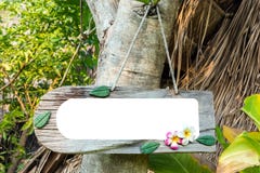 hölzernes Tag auf Baum im Park freier Raum auf hölzernem Tag für Mitteilung von conc stockbild hölzernes Tag auf Baum im Park freier Raum auf hölzernem Tag für Mitteilung von conc stockbild