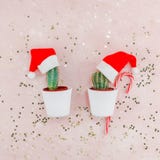 I cactus fatti a mano di Santa della celebrazione di festa di natale posti piano creativo di vista superiore della composizione i fotografia stock I cactus fatti a mano di Santa della celebrazione di festa di natale posti piano creativo di vista superiore della composizione i fotografia stock