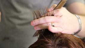 I capelli di Barber Cutting Woman stock footage I capelli di Barber Cutting Woman stock footage