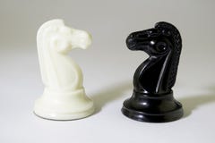 I cavalli in bianco e nero di scacchi stanno di fronte ad a vicenda su un fondo bianco, ombra stretta immagine stock libera da diritti I cavalli in bianco e nero di scacchi stanno di fronte ad a vicenda su un fondo bianco, ombra stretta immagine stock libera da diritti