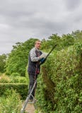I cespugli verdi delle disposizioni di Senor recintano il giardino fotografia stock libera da diritti I cespugli verdi delle disposizioni di Senor recintano il giardino fotografia stock libera da diritti
