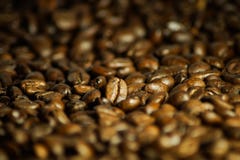 i chicchi di caffè deliziosi si chiudono su come fondo fotografia stock libera da diritti i chicchi di caffè deliziosi si chiudono su come fondo fotografia stock libera da diritti